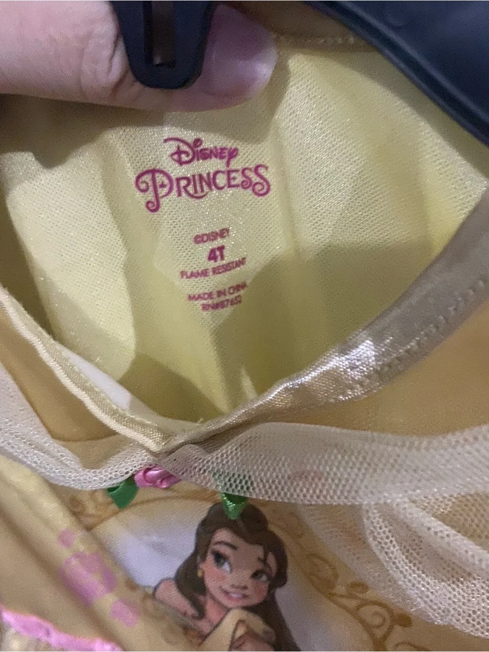 Disney beautiful princess